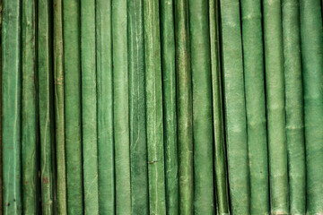 untitled green book covers on a shelf. Archives documents or registers backgroud.  - Powered by Adobe