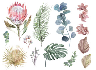 Watercolor boho set of dried flowers to create patterns and bouquets for textiles and cards