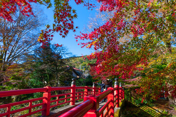 静岡県伊豆市修善寺　紅葉シーズンの修善寺温泉街