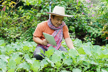 Asian middle aged man is relaxing with his free time by using his taplet to take photos and to store the growing data beside the vegetable beds in the backyard of his house. Soft and selective focus. 