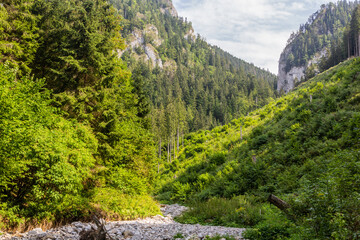 Huciaky valley in Nizke Tatry mountains, Slovakia