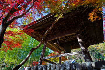 静岡県伊豆市修善寺　修禅寺の紅葉