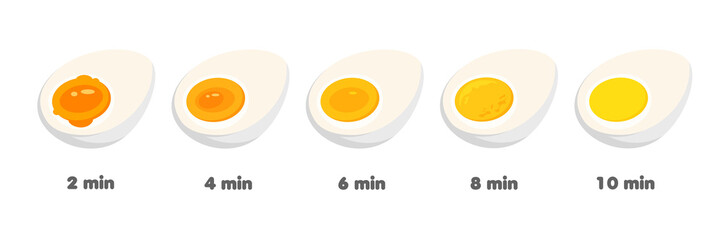 Stages of egg boiling in time. Variations of readiness chicken eggs in cross-section. Cooking recipe. Vector illustration isolated on white background