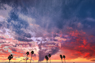 Obraz na płótnie Canvas Views of Santa Barbara from the Mesa at sunset