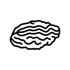 oyster closed shell line icon vector. oyster closed shell sign. isolated contour symbol black illustration