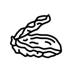 oyster opened shell line icon vector. oyster opened shell sign. isolated contour symbol black illustration