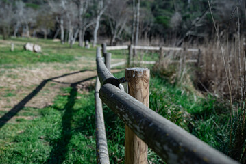 Fototapeta premium Old wooden fence in green park
