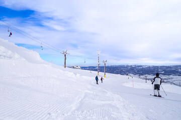 Fototapeta na wymiar Gentle slope of a ski resort（Niseko, Hokkaido, Japan)