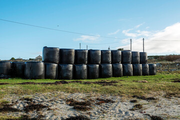 Obraz premium Stack of hay in a black plastic wrap on a field by a farm. Food supply for cows, horses and sheep to feed on winter. Warm sunny day. Agriculture industry.