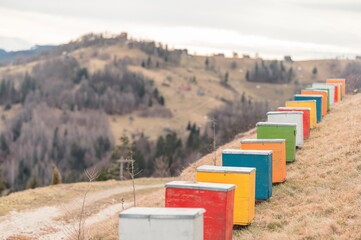 beehive in the top of the mountain