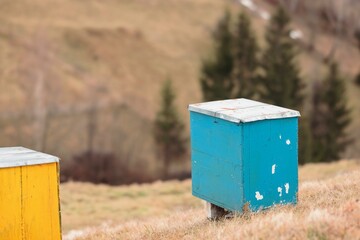 bee hives in the field