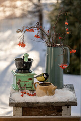birds in still life in my garden
