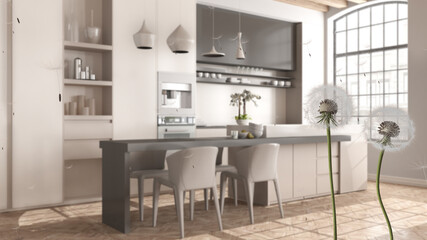 Fluffy airy dandelion with blowing seeds spores over modern kitchen with island and chairs, open space. Interior design idea. Change, growth, movement and freedom concept