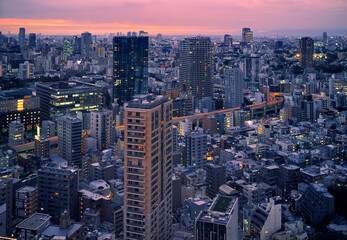 Obraz premium ARK Hills as seen from the Tokyo Tower at evening. Tokyo. Japan