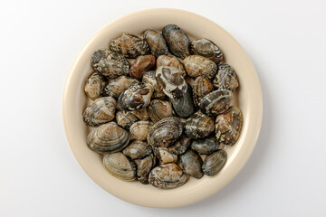 short neck clam on a white background