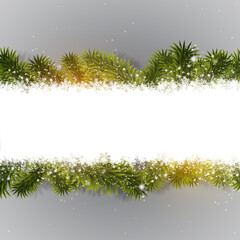 xmas winter fir tree decoration
