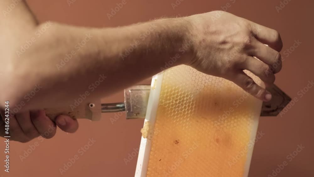 Poster close up of apiary beekeeper hand using a knife spatula to clog honeycombs with honey wax in a woode