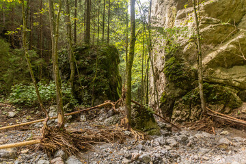 Huciaky gorge in Nizke Tatry mountains, Slovakia