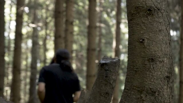 Young beard man in the jungle of deodar, willow, pine and robinia in manali. Young man trekking for joginifalls, Himachal Pradesh