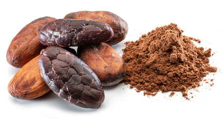Cocoa beans and cocoa powder close-up on white background.