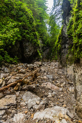 Huciaky gorge in Nizke Tatry mountains, Slovakia