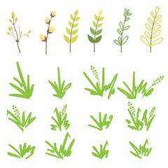 Set of wild herbs, herbs and cereals, young leaves and willow twigs, in doodle style, on a white background.