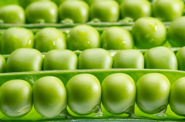 Rows of perfect green peas in pod close-up. Food background.