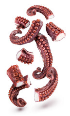 Cooked parts of octopus arms levitating on white background. File contains clipping path.