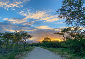 Fototapeta na wymiar Beautiful dirt road leading into the sunset with blue sky, Lowveld South Africa