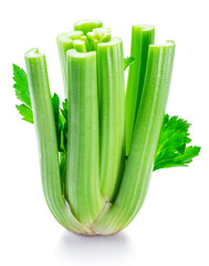 Fresh celery stalk isolated on white background.