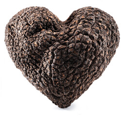 Black edible winter truffle in a shape of heart on white background. The most famous of the...