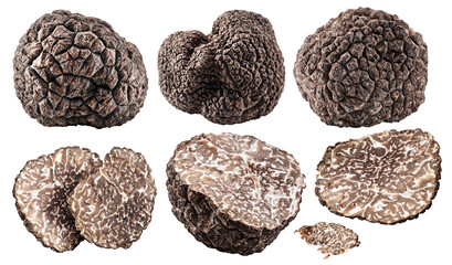 Set of black winter truffle and truffle slices on white background. File contains clipping path. - obrazy, fototapety, plakaty