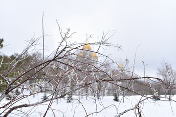 Winter landscape with a church