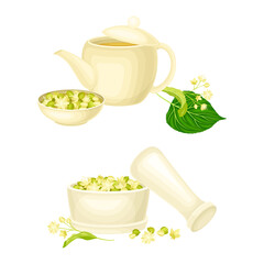 Linden or Tilia Cordata in Mortar and Brewing Tea in Teapot with Blossom Nearby Vector Set