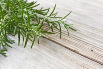 Closeup of a bunch of fresh aromatic green rosemary herb on old wood background with copy space   