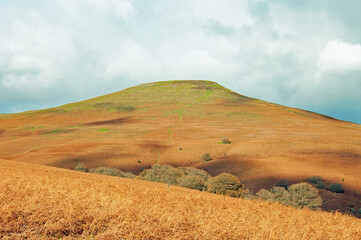Hergest ridge of England and Wales in the summertime.