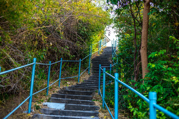 panoramic background of high mountain scenery, overlooking the atmosphere of the sea, trees and wind blowing in a cool blur, spontaneous beauty