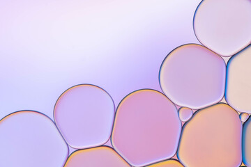 beautiful and bright macro backgrounds	