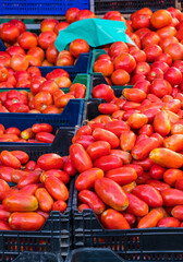 Traditional market that takes place every Tuesday in Plasencia.