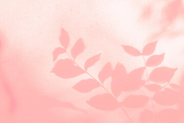 Shadow and light of leaves tree branch background. Natural  colorful leaf pink, coral, rose gold shadow and light from sunlight dappled on white wall