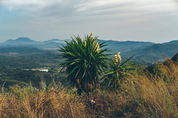 landscape with mountains