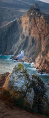 Landscape, sea, mountains, and a bird sitting on a rock.