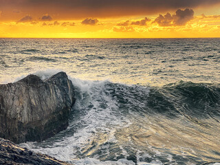 Splash