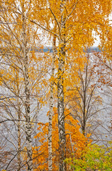 Fototapeta premium Volga river in Cheboksary. Russia