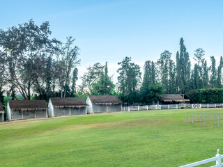 Green grass meadow in farming, at countryside of Thailand under clear fresh sky