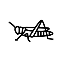 grasshopper insect line icon vector. grasshopper insect sign. isolated contour symbol black illustration