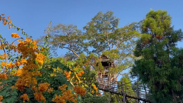 Tree House Made Of Bamboo With Marigold Flowers In Foreground In Mawlynnong Village, Meghalaya, India. Cleanest Village In Asia. low angle