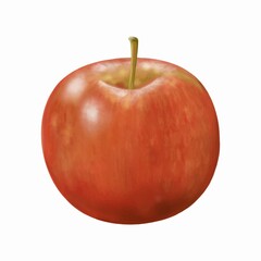 Apple. Vector. Realistic red apple.  Graphics. Hand drawing. White background. Multi-layered. Can be used in commercial web design. Goods, services, sales, agriculture.