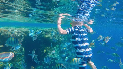 Snorkeling child diving in clear blue ocean water with beautiful coral and fish. Exploring and enjoying underwater with snorkel, diving mask. Swimming, adventure in summer vacation