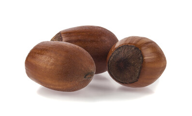Hazelnuts isolated on white background.